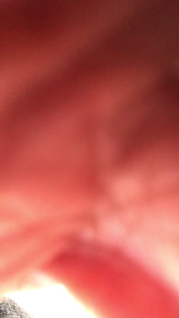 sven6666  23-07-2021 Recorded Video Topless